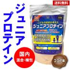 プロテイン 送料無料 ジュニアプロテイン ホエイ ガゼイン ソイ　たんぱく　栄養補助　こども用 1kg 約40回分