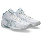 asics Asics GELHOOP V16 баскетбол обувь 1063A078-105(WHITE/LIGHT STEEL)