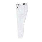 ミズノ MIZUNO 練習用スペアパンツ（ロングタイプ) 野球ユニフォームパンツ 12JD6F6201(ホワイト)