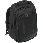 DUNLOP Dunlop теннис рюкзак ( ракетка место хранения возможно ) DTC2083 черный черный 