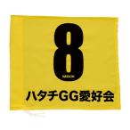 HATACHI - tachiGG цвет флаг BH5010 желтый 
