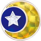 nichiyo-NICHIYO тент грамм маркер (габарит) GM-HO GMHO есть 