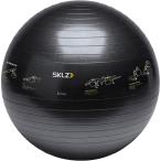 SKLZ スキルズ バランスポール トレーナーボール 65cm TRAINERBALL SPORT PERFORMANCE 005098