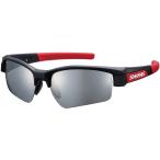 SWANS スワンズ LION SIN - M ミラーレンズ LISIN0701 BK/R