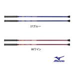 ウオーキング ポール ノルディック マイティポール ロングタイプ 2本1組 NORDIC WAKING POLE ミズノ C3JTP730