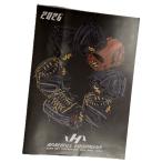  каталог - takeyama бейсбол 2026 год A4 размер 