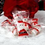 セイカオエン クリスマス お菓子 詰め合わせ プレゼント サンタ キャラクター キャンディ 個包装 配り ミント味 モモ味 飴 スライス飴
