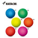羽立工業 ハタチ HATACHI グラウンドゴルフ カラーボール BH3001