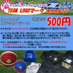 Team LOGO　ロゴステッカー製作加工ご希望の方専用ページ　ステッカーシール　ロゴ　エンブレム　マーク　15ｘ15cm以内　SEAL500