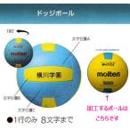 チーム名入りドッジボール　J.D.B.A.�