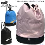 ショッピングプールバッグ プーマ バッグ 水泳バッグ スイミングバッグ リュックタイプ 079042 PUMA 2ルーム プールバッグ スイムバッグ ショルダーバッグ 学校 プール スクール 体育 水泳