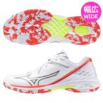 ミズノ バドミントンシューズ ウェーブクロー 3 MIZUNO 幅広 ワイド 71GA244305