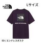  North Face мужской ED-L размер Short рукав бандана квадратное Logo чай Endless dask короткий рукав футболка скорость .NT32446 бандана квадратное Logo L