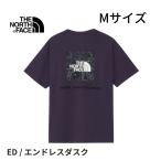  North Face мужской ED-M размер Short рукав задний квадратное Traverse Logo чай Endless dask короткий рукав футболка задний квадратное Traverse Logo M