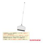 エバニュー 水泳設備・備品 [送料別途]スクープネット250 EHB176