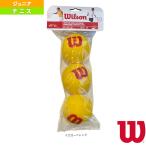 ウィルソン テニスボール スターターフォームボール STARTER FOAM BALL 3球入り WRZ258900