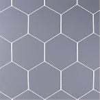 アシックス asics 健康・ボディケア設備用品  亀甲サッカーゴールネット CNS003