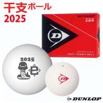  Dunlop DUNLOP soft теннис теннис мяч . главный мяч 2025 год [.] легализация лампочка 1 дюжина 12 лампочка входить DSTBAON2DOZ