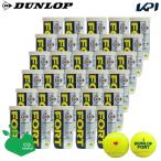 「KPIオリジナルモデル」「新パッケージ」DUNLOP ダンロップ 「FORT フォート [2個入]1箱 30缶/60球 」テニスボール 「KPI限定」『即日出荷』