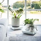 室内用台車 山崎実業 TOWER タワー 自立する台車 正方形 ホワイト