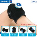  Zam -тактный ZAMST глазурь для опора IW-1 лёд сумка продается отдельно IW-1