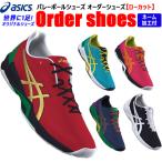  Asics волейбол обувь заказ обувь low cut наложенный платеж не возможно медленно отсроченный платеж не возможно возвращенный товар * замена не возможна 