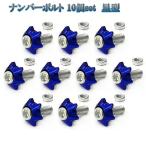  номер крыло болт звезда type противоугонное M6 болт цвет шайба одного цвета 10 шт set машина универсальный экстерьер украшать голубой 