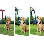 pala код половина воздушная заслонка цвет & Lead комплект ( шея вокруг :46~54cm) красный × черный * голубой × черный для больших собак плетеный вверх ошейник скидка шнур 