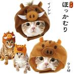 [ outlet!]petio кошка для преображение .....inosisi*uli. костюм костюмированная игра кошка одежда [ есть перевод ]