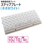 �i���������j �P�i ���Y �������i���v���[�g �i���v���[�g �i��10cm�p�@��60cm�Ή� �ω׏d10t  �������X�e�b�v�v���[�g �l�I�z���C�g sp��-1060�~1
