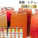 ドリンク お酢 詰め合わせ 送料無料 美酢 6種 まとめ買い ストック 買い置き ミチョ 飲むお酢