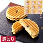 訳あり 数量限定 えびすさん(バニラ)9個 お菓子 スイーツ 送料無料 おやつ わけあり 1000円 お試し お買い得 個包装 フードロス 常温 ゆうパケット メール便