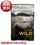 にんにく卵黄WILD やずや 310mg球×62球