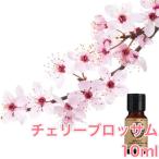 チェリーブロッサム サクラ 桜 精油10