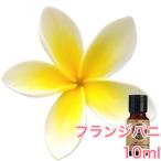 ショッピングアロマオイル フランジパニ (プルメリア) 精油10ml - エッセンシャルオイル アロマオイル - LINE友だちクーポン - アロマディフューザー アロマキャンドルにもオススメ