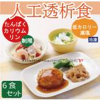 人工透析食 6食セット *国内製造 管