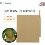 一色本店 梨用果実袋 100枚セット