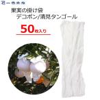 一色本店 果実の掛け袋 50枚 ネルネット18 白 180mm 果実袋 掛け袋 デコポン 清見 越冬用 鳥対策 鳥よけ K-21