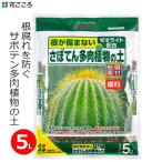 培養土サボテン多肉植物サボテン多肉...