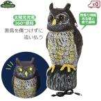  безопасность 3 птица .. птица избежать защита от птиц сенсор тип колеблющийся сова солнце свет тип батарейка не необходимо украшение .. меры .. - to Panic ....2 STYF-4