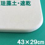 珪藻土バスマット 日本製 風呂マット 珪藻土 足ふきマット NEW足乾バスマットミニ