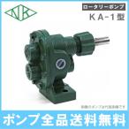 亀嶋鉄工所 単体ポンプ 鋳鉄製ギヤーロータリーポンプ ギヤーポンプ ギヤポンプ KA-1 口径：1/4 (8A)