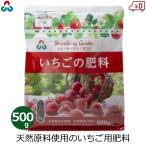 клубника. удобрение иметь машина удобрение 500g клубника удобрение местного производства иметь машина культивирование изначальный ... натуральный сырье огород для бытового использования утро день UGG задний 