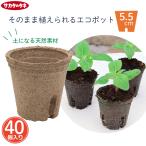 sakata выращивание рассады pot натуральный материалы круглый jifi- pot 8cm 30 штук входит вид .. pot рассада pot клубника цветок овощи рассада .. установка торф садоводство для земля выращивание рассады cup огород 