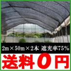 遮光ネット 黒 2m×50m×2本セット 遮光率75％ 農業用遮光ネット 農業資材 農業用品 園芸用品 日よけ 農業用ネット