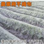 農業用 不織布 1.8m×200m UV剤入 保温シート 農用 防鳥ネット 防虫シート ロール 農業資材 園芸資材
