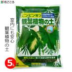 培養土観葉植物の土5L土観葉植物鉢...