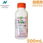 Eۍ Xgr[tAu 500ml _ ܁y2024N10؂z