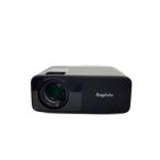 RayFoto/ проектор /RD-881