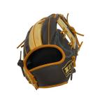 ZETT* бейсбол сопутствующие товары / правый выгода . для /BRW/FINE CATCH